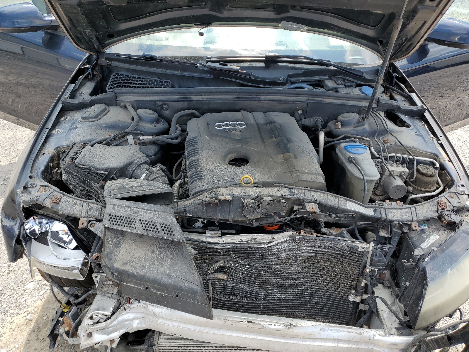 WAUBFAFL9BN049926 2011 Audi A4 Premium