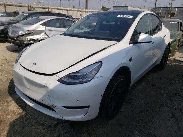  TESLA MODEL Y 2022 Белый