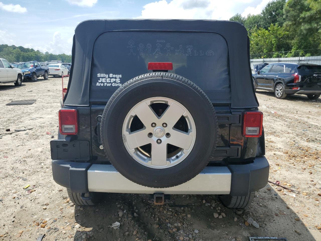 2010 Jeep Wrangler Unlimited Sahara VIN: 1J4HA5H16AL157987 Lot: 60485884