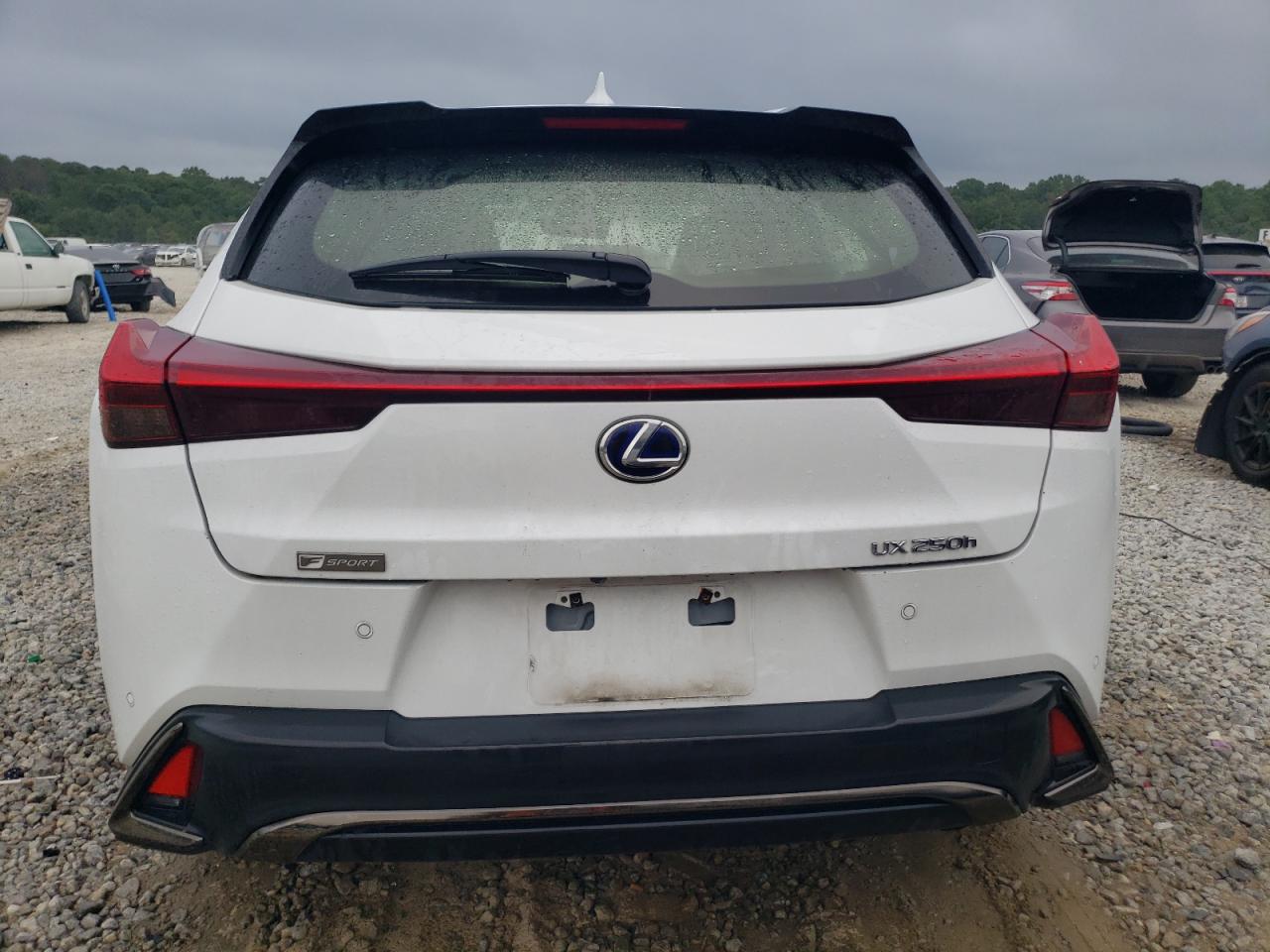 2019 Lexus Ux 250H VIN: JTHU9JBH0K2008704 Lot: 61702754