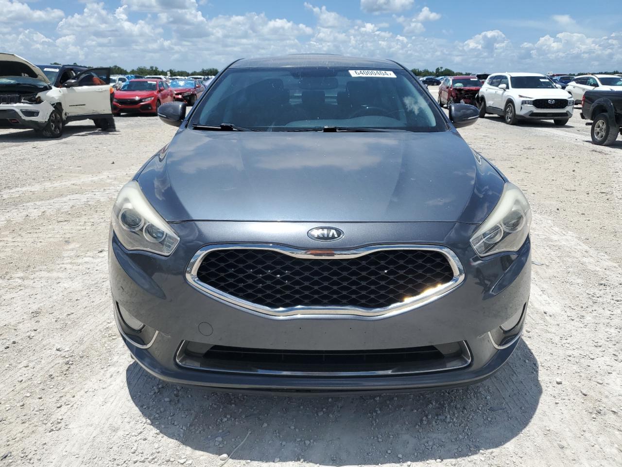 2015 Kia Cadenza Premium VIN: KNALN4D71F5195516 Lot: 64000404