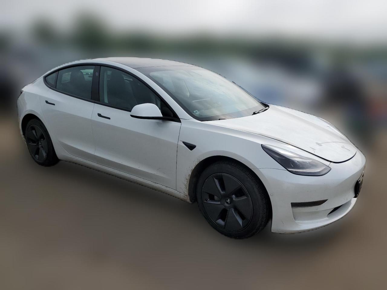 2021 Tesla Model 3 VIN: 5YJ3E1EAXMF053267 Lot: 65255424