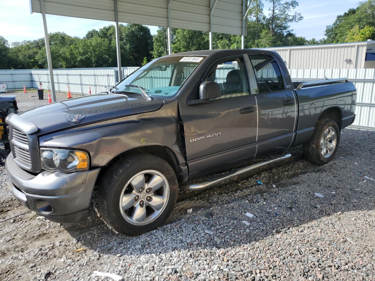 2002 Dodge Ram 1500 VIN: 1D7HA18N62J156701 Lot: 62337644