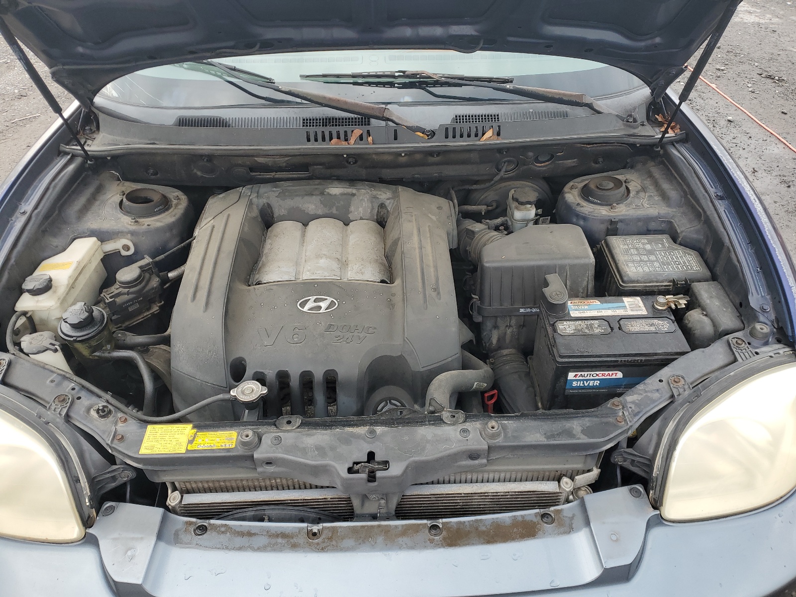 KM8SC73DX4U849618 2004 Hyundai Santa Fe Gls