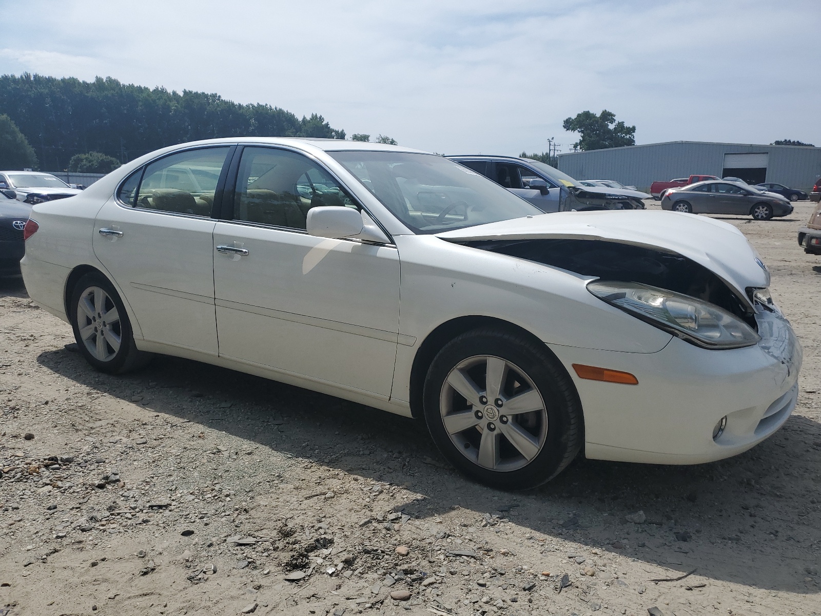 JTHBA30G755106510 2005 Lexus Es 330