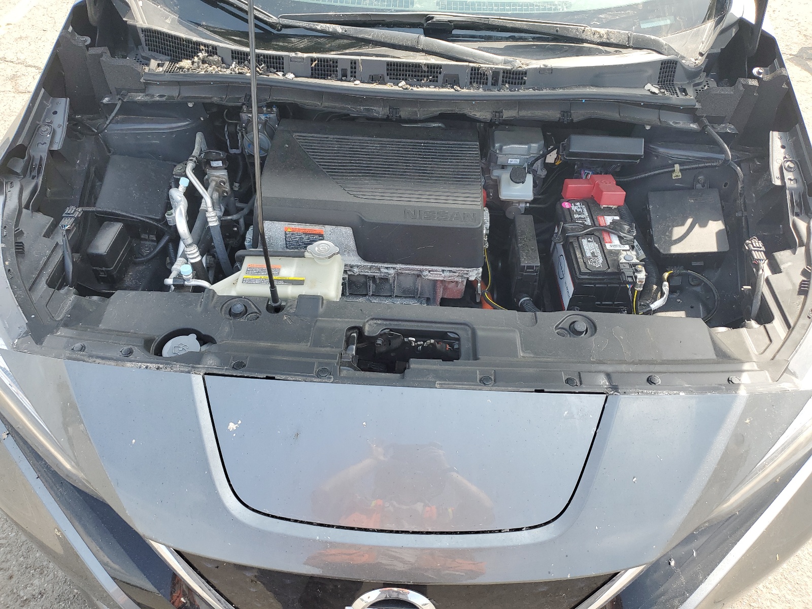 1N4BZ1CP4KC319843 2019 Nissan Leaf S Plus