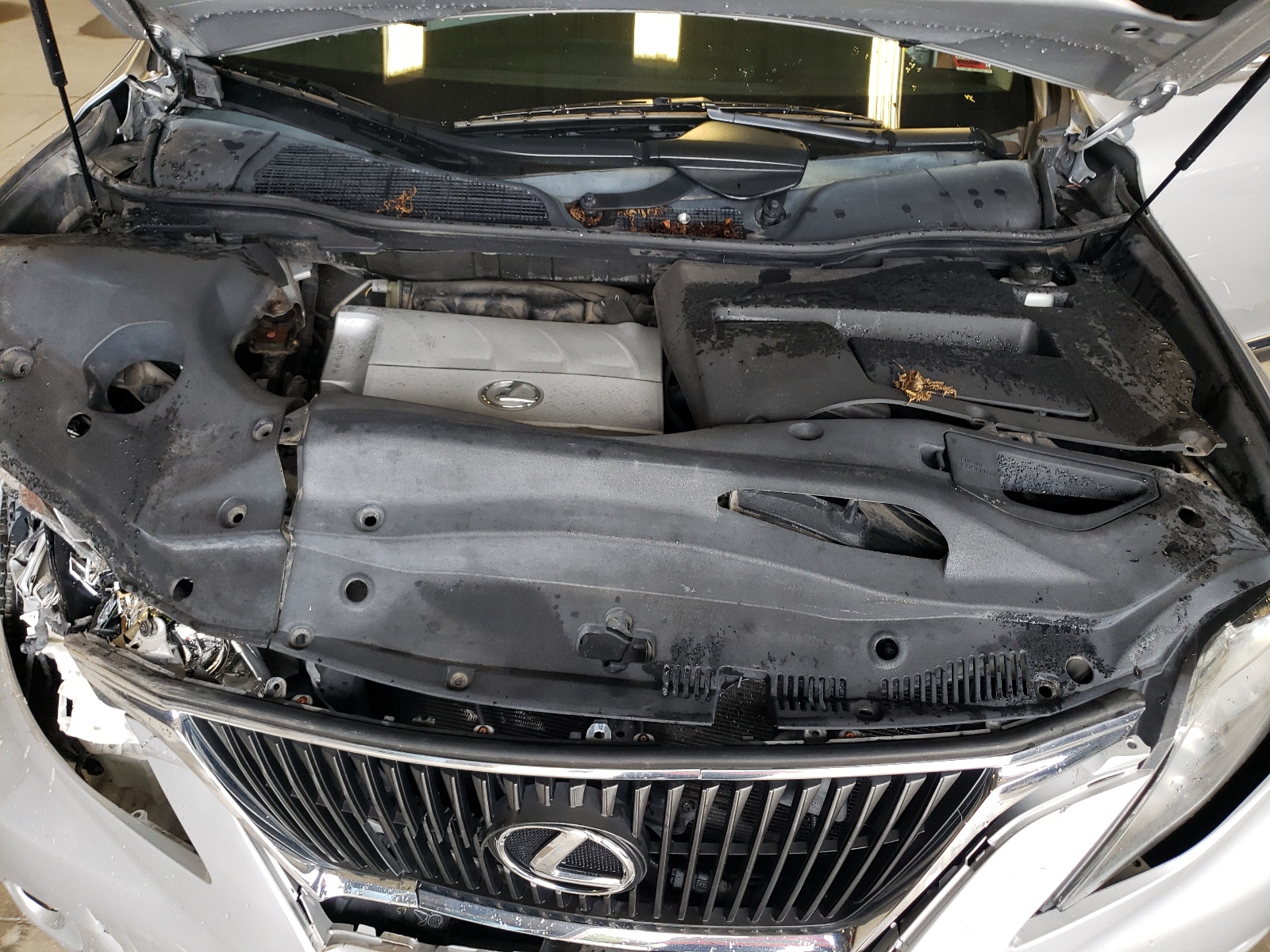 2T2BK1BA3BC095432 2011 Lexus Rx 350