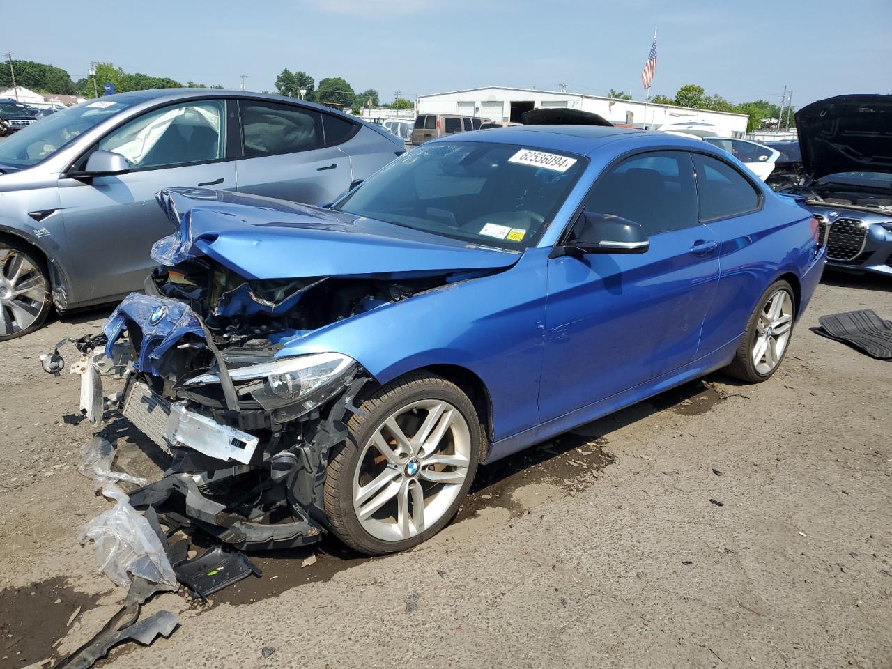 2015 BMW 228 Xi Sulev VIN: WBA1G9C59FVX96655 Lot: 62536094