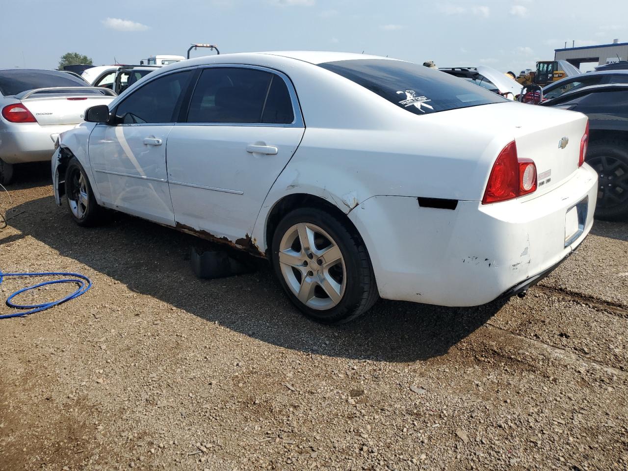 2009 Chevrolet Malibu 1Lt VIN: 1G1ZH57BX9F116250 Lot: 62695574