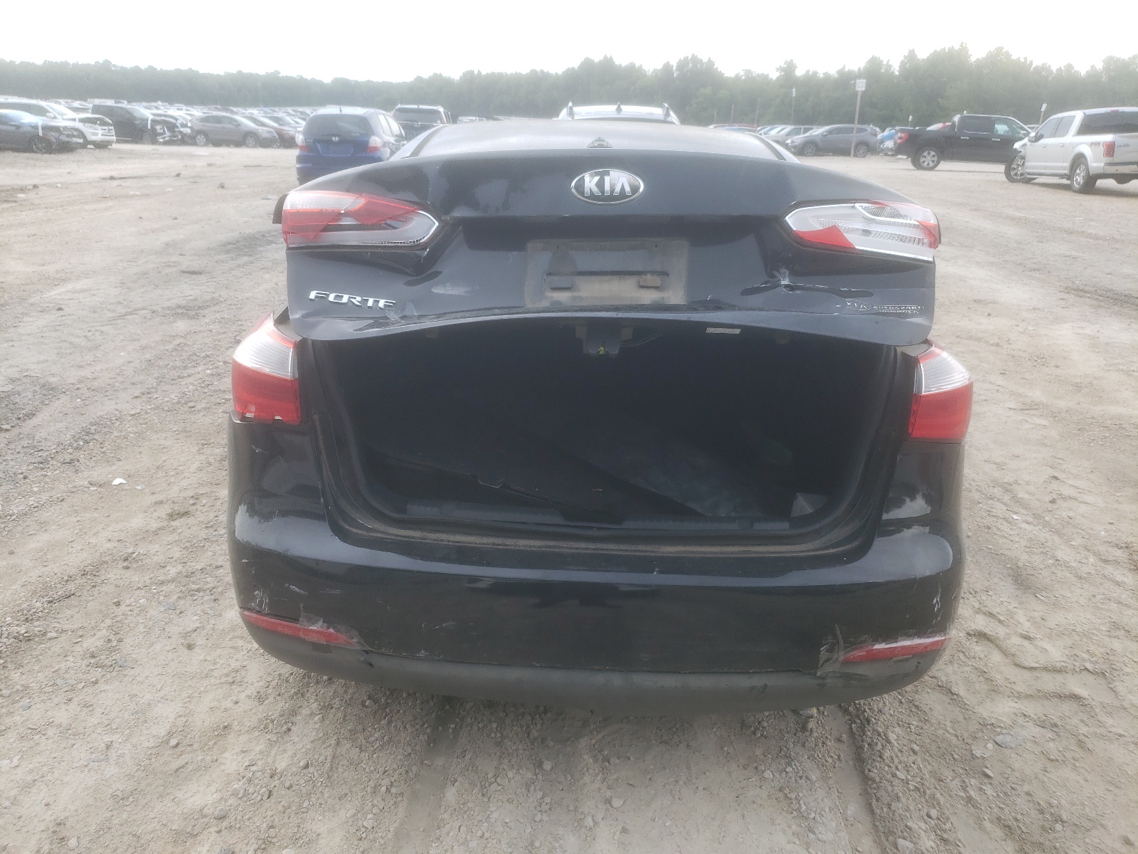 KNAFK4A65E5064671 2014 Kia Forte Lx