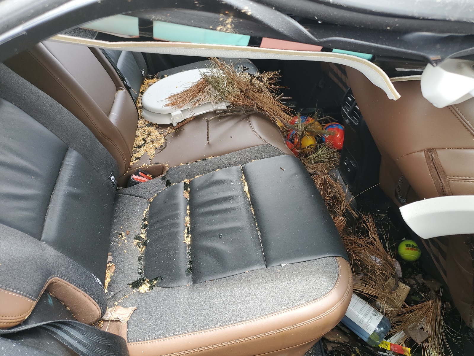 3FMCR9C68PRD21104 2023 Ford Bronco Sport Outer Banks