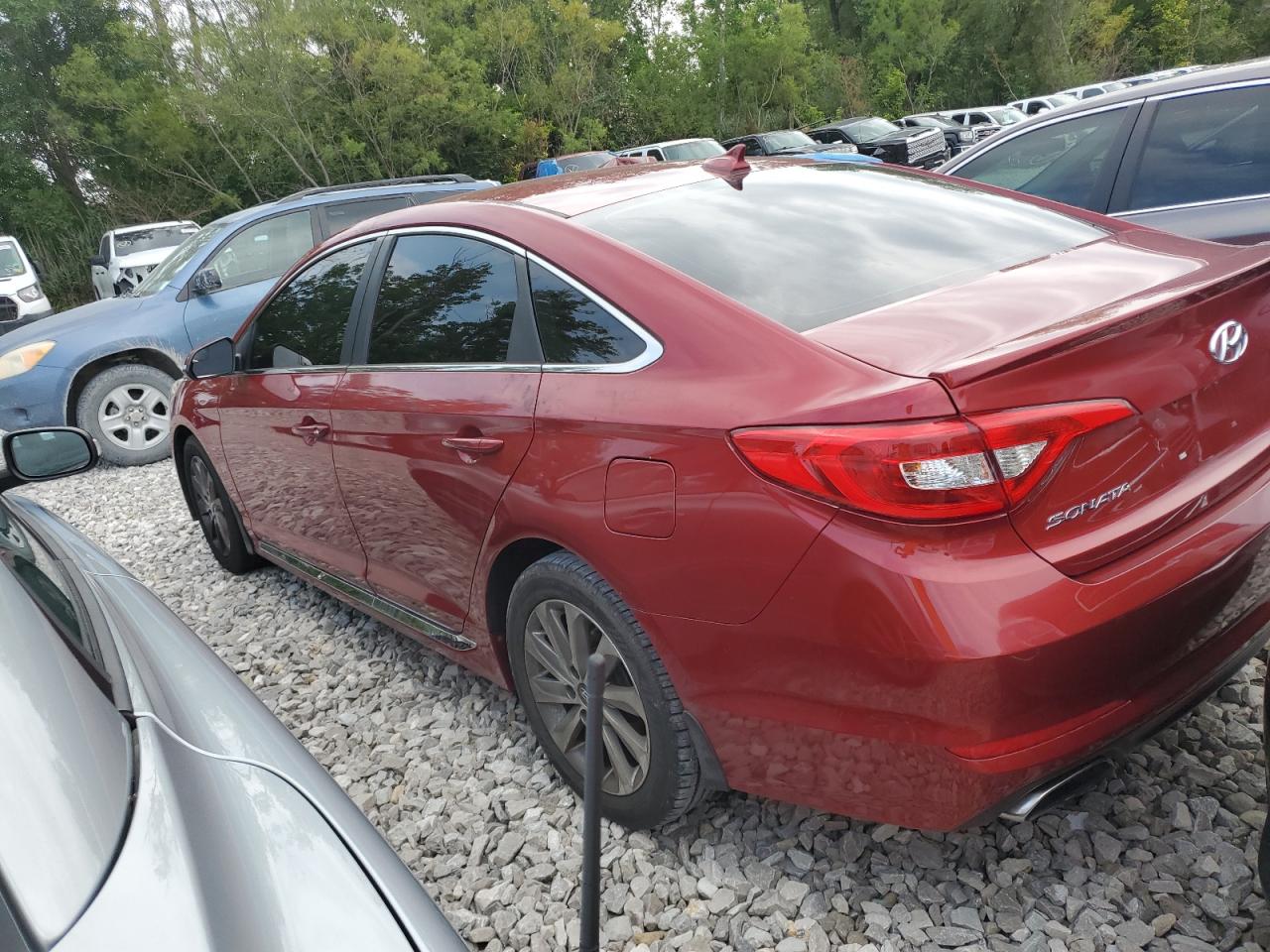 5NPE34AF5FH251468 2015 HYUNDAI SONATA - Image 2