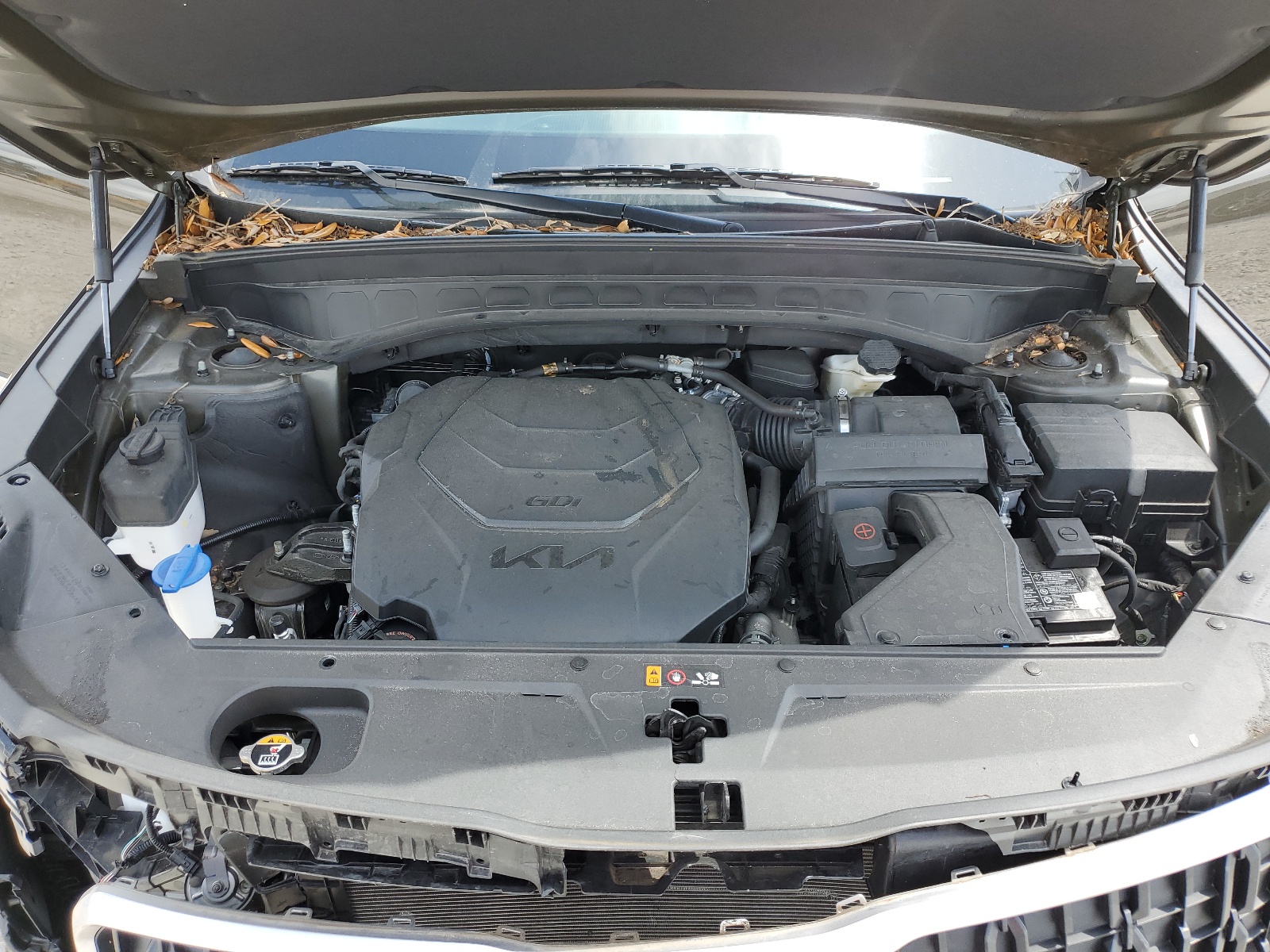 5XYP34GC0PG357020 2023 Kia Telluride Ex