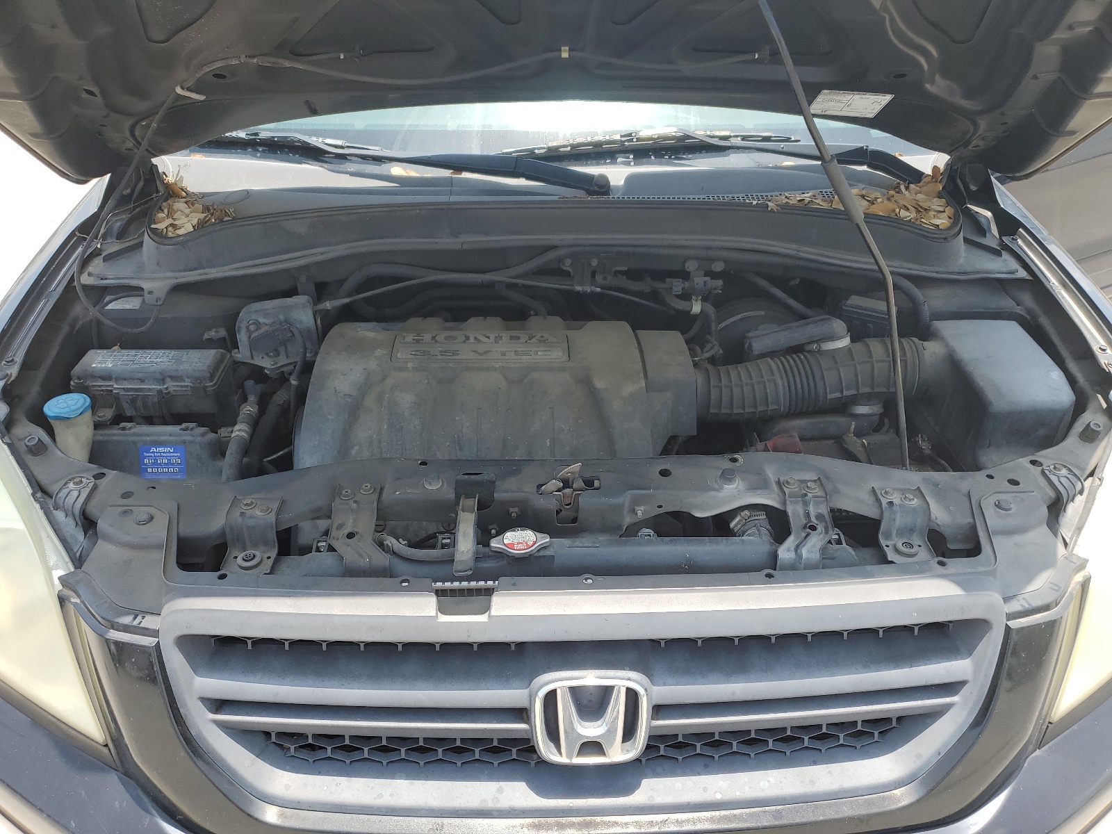 5FNYF18565B008121 2005 Honda Pilot Exl