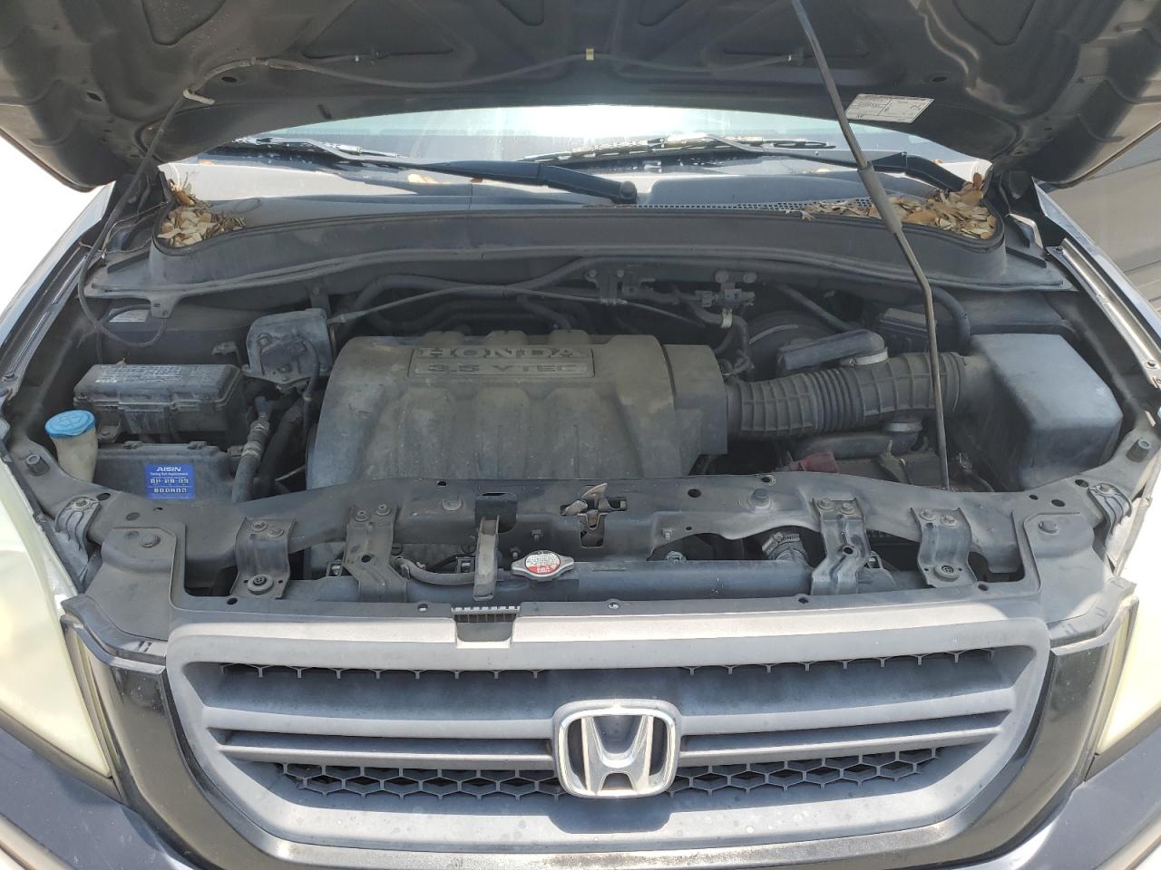 2005 Honda Pilot Exl VIN: 5FNYF18565B008121 Lot: 63236364