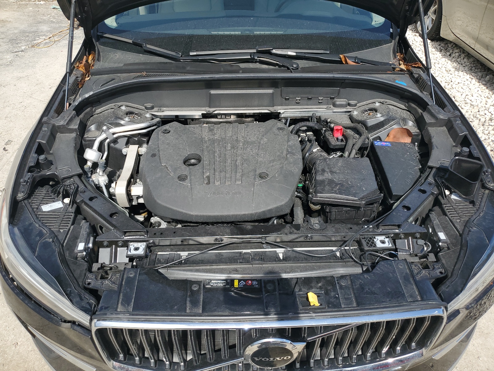 YV4L12DE2P1254239 2023 Volvo Xc60 Plus