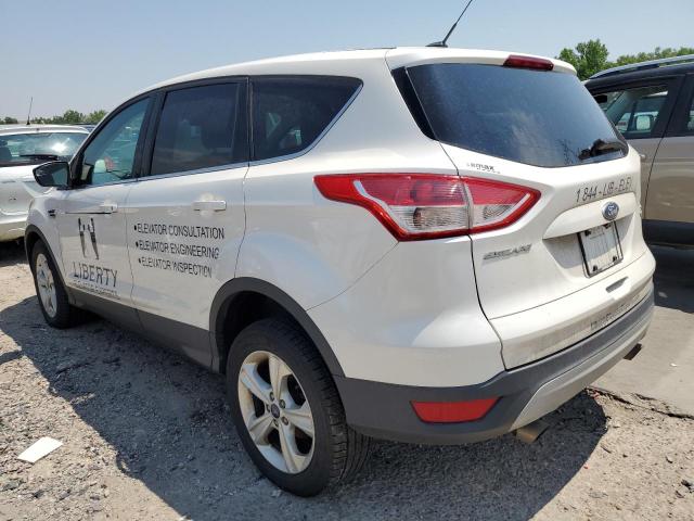  FORD ESCAPE 2014 White