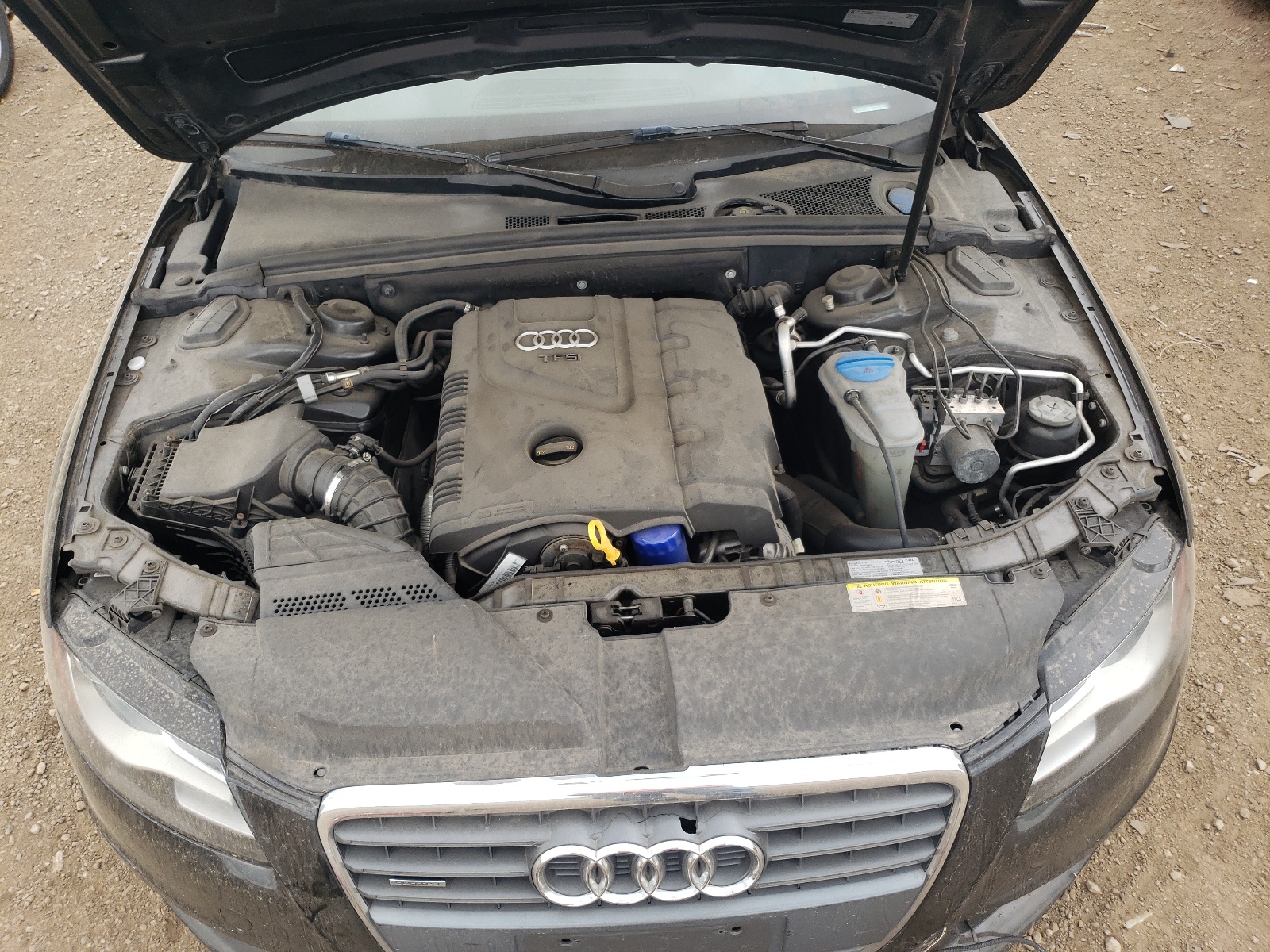 WAUFFAFL1CN006748 2012 Audi A4 Premium Plus