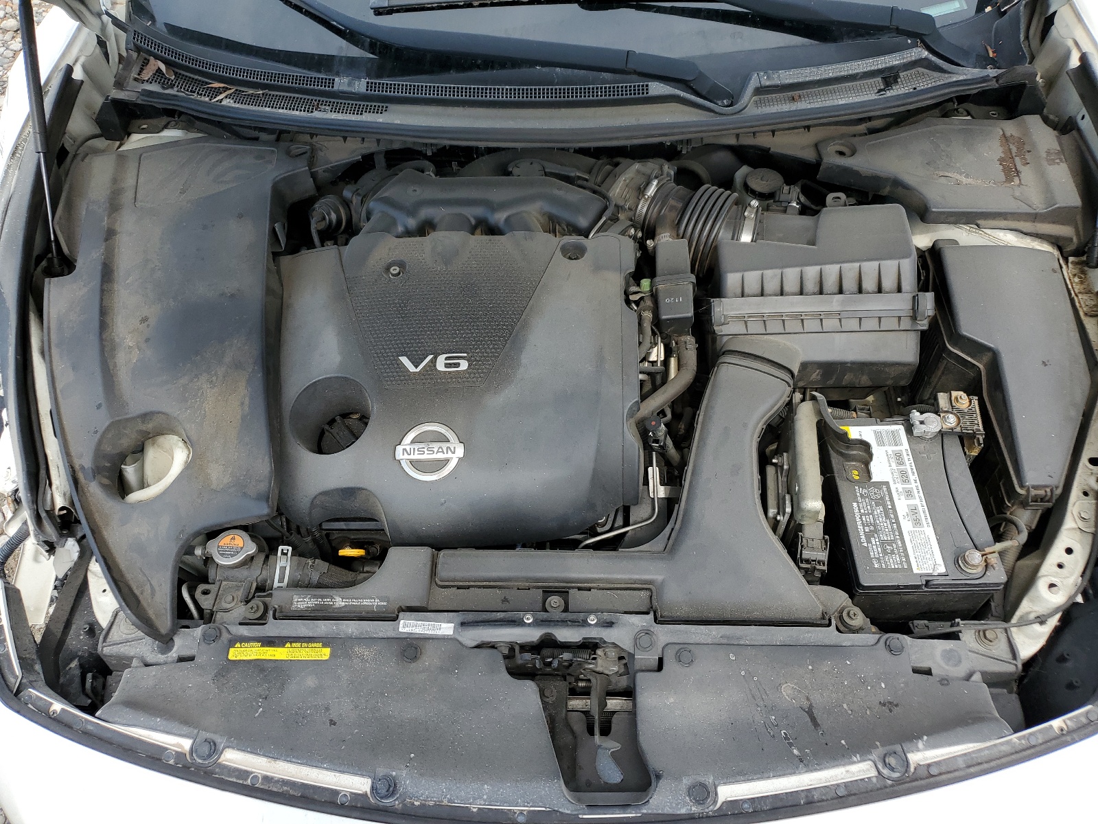 1N4AA5AP6AC865636 2010 Nissan Maxima S