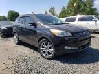 2015 Ford Escape Titanium იყიდება Portland-ში, OR - Rear End