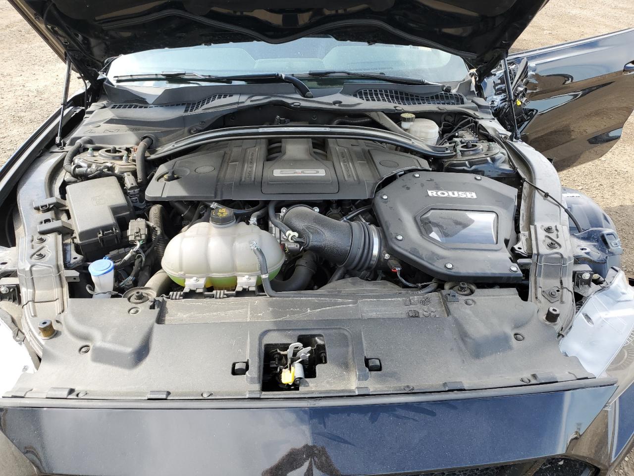 2021 Ford Mustang Gt VIN: 1FATP8FF0M5105896 Lot: 63457184