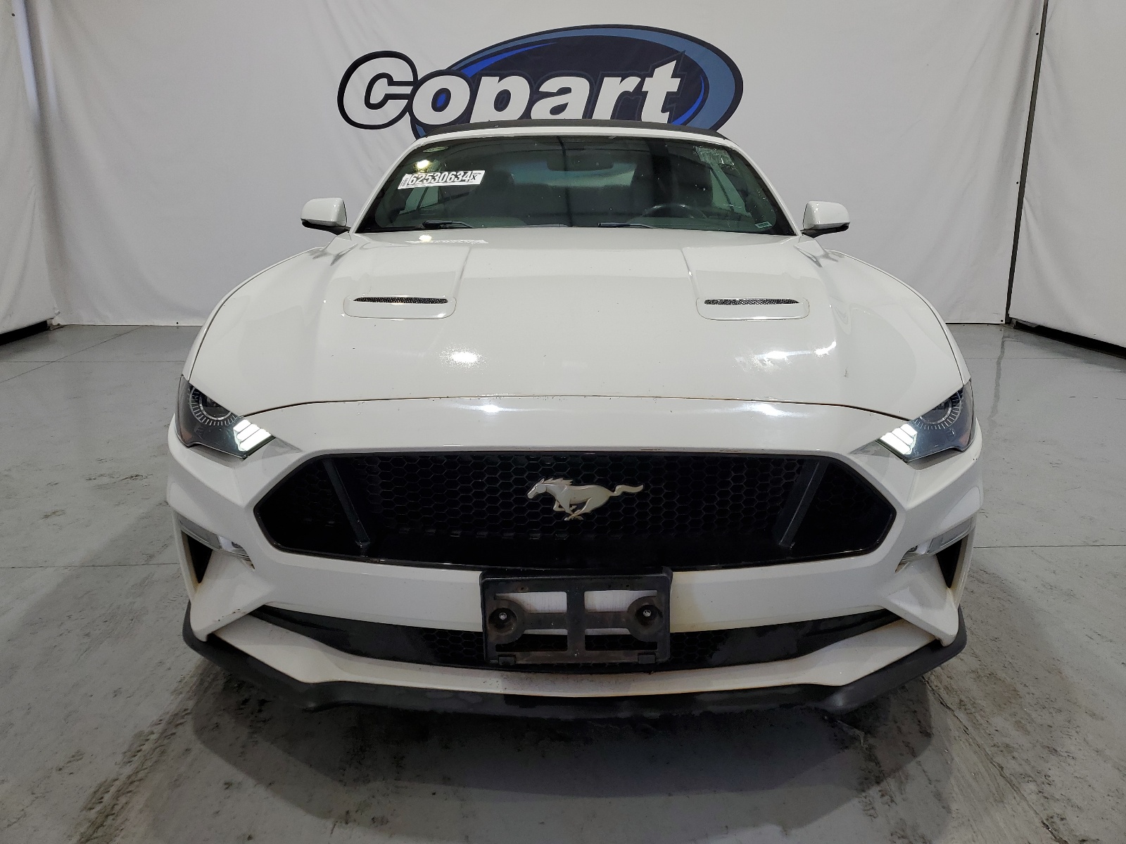1FATP8FF6K5126037 2019 Ford Mustang Gt