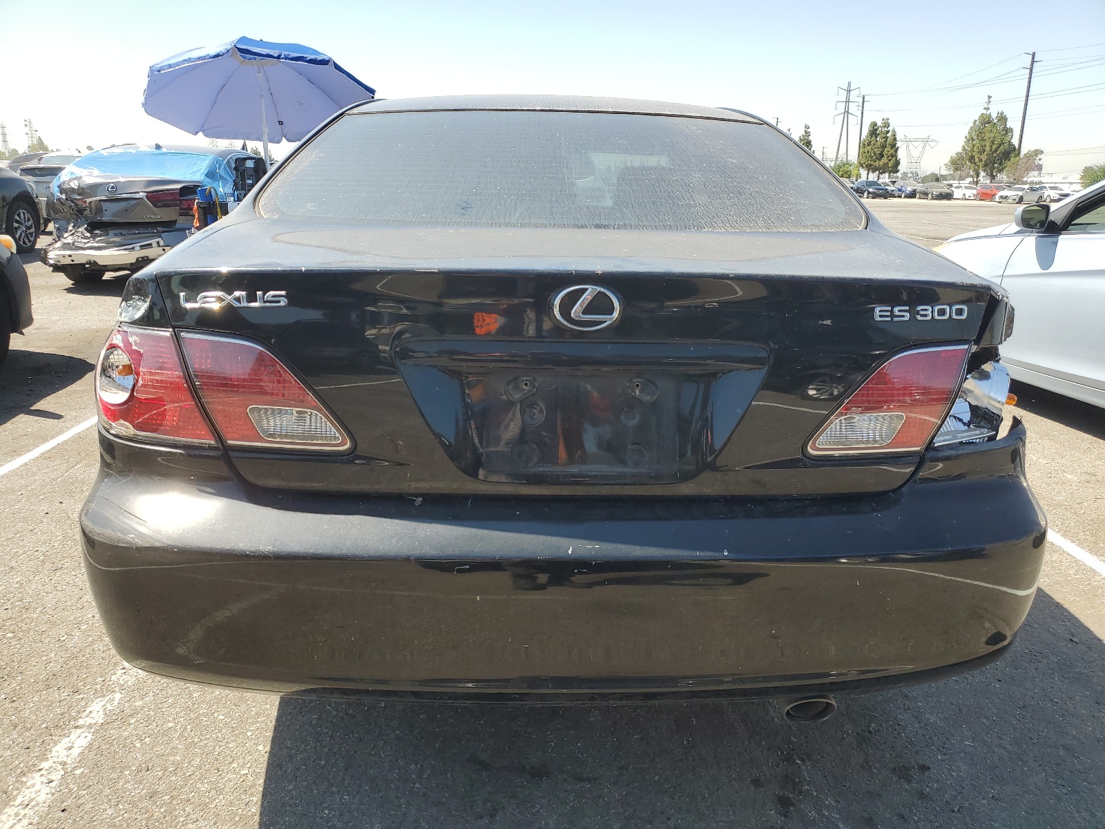 JTHBF30G536003885 2003 Lexus Es 300