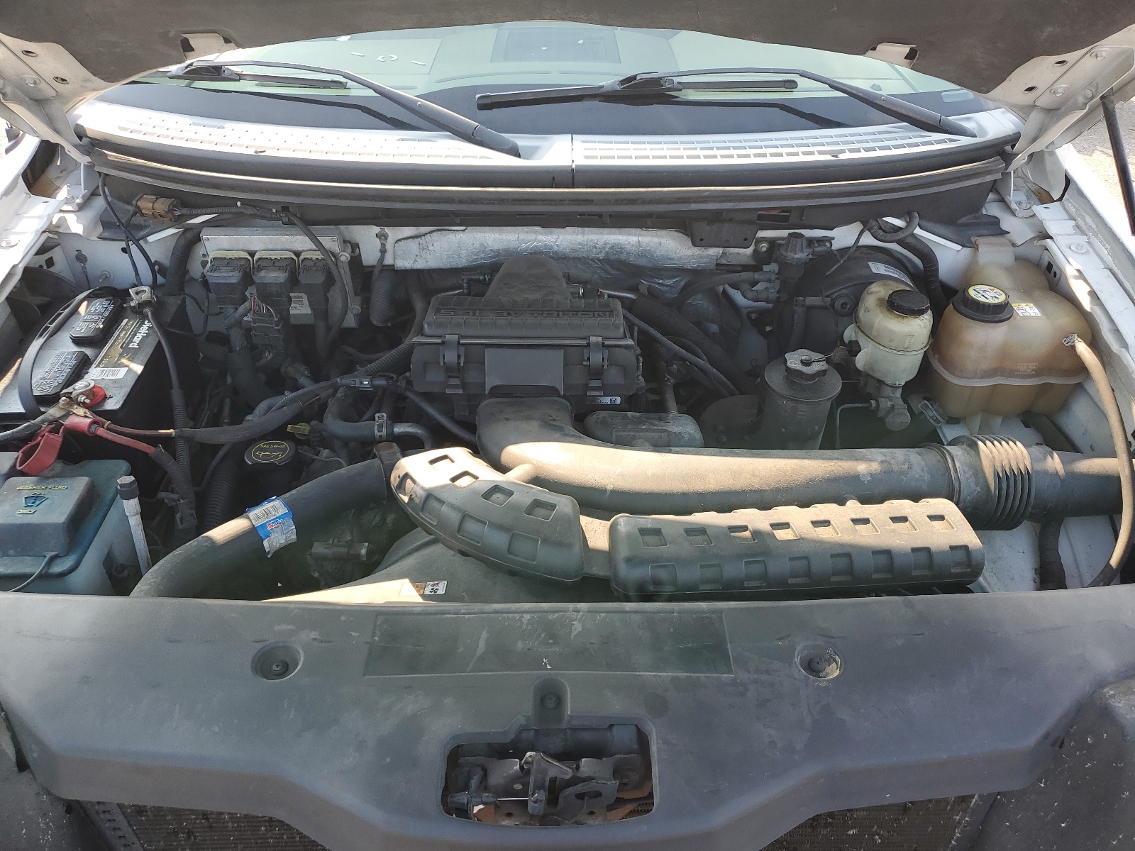 1FTPX12V77FA39359 2007 Ford F150