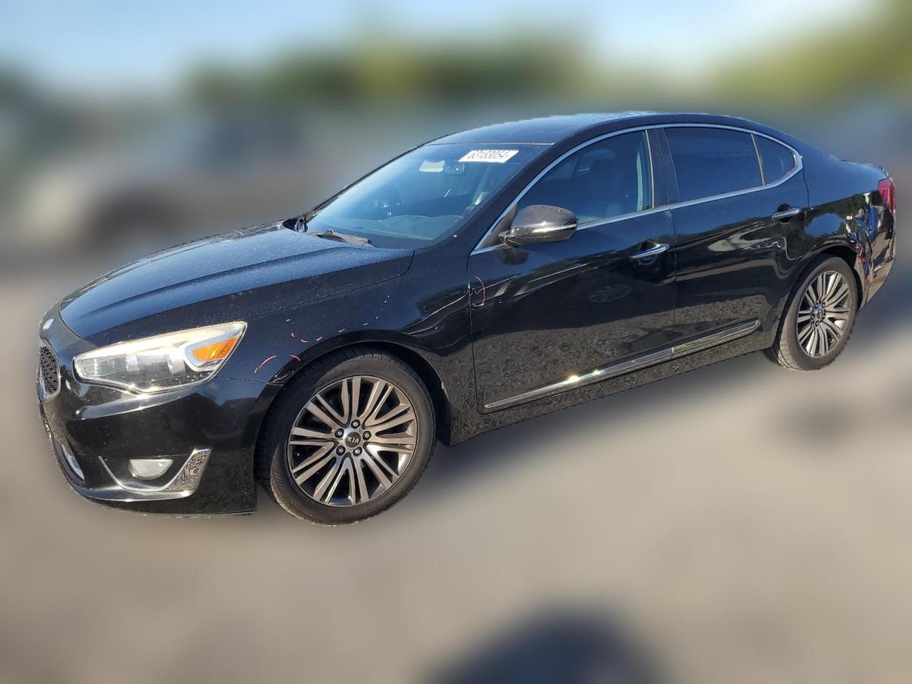 2014 Kia Cadenza Premium VIN: KNALN4D73E5129788 Lot: 63183054