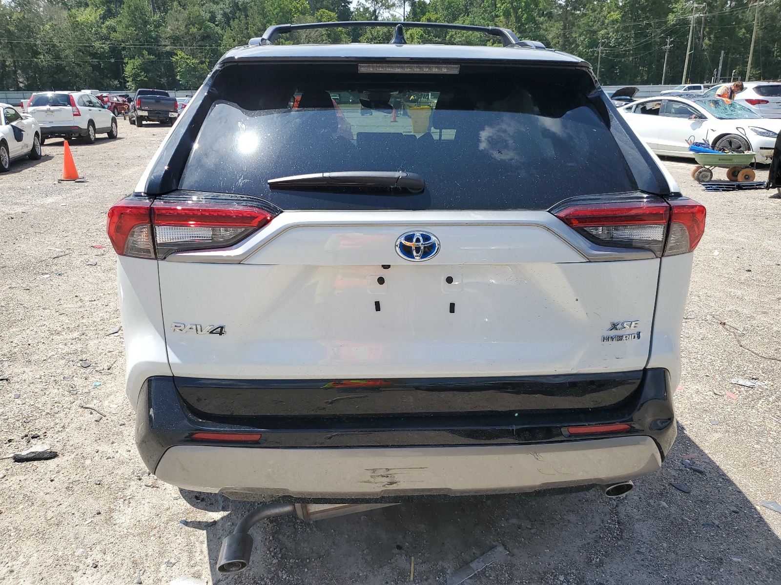 2T3E6RFV0PW041116 2023 Toyota Rav4 Xse