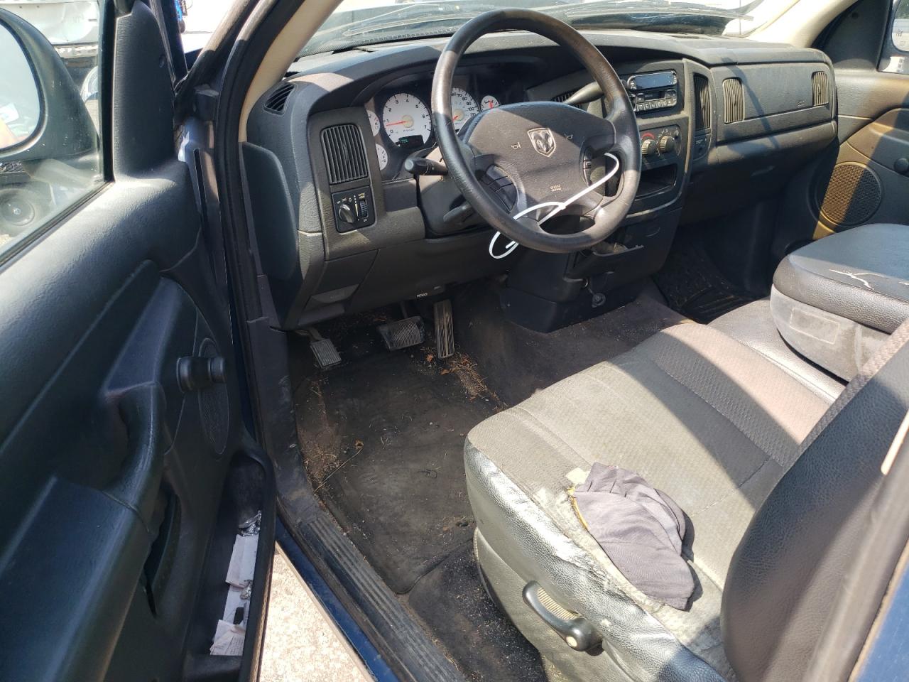 2002 Dodge Ram 1500 VIN: 1B7HA16N62J119709 Lot: 63151054