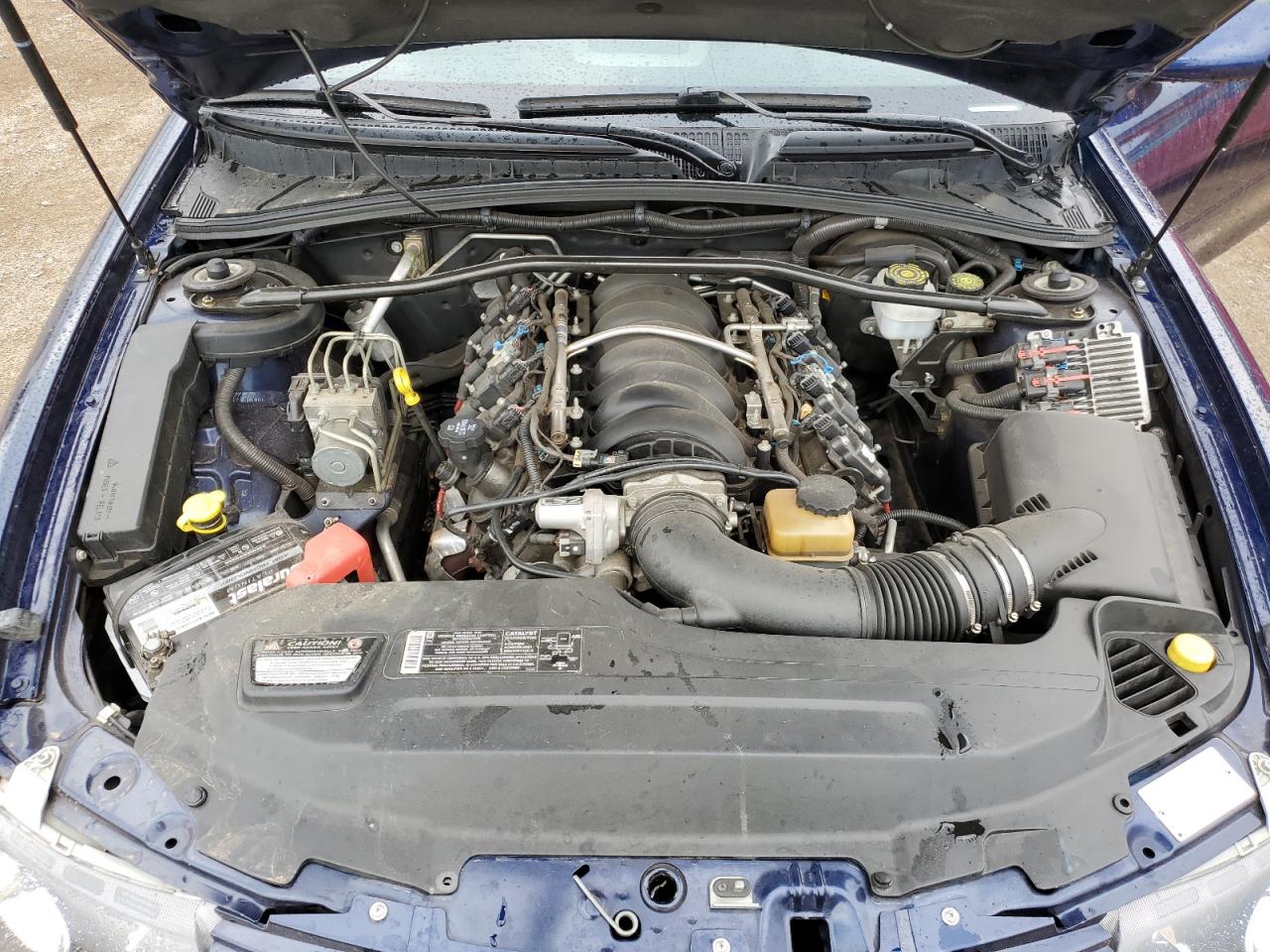 2005 Pontiac Gto VIN: 6G2VX12U55L458539 Lot: 63744744