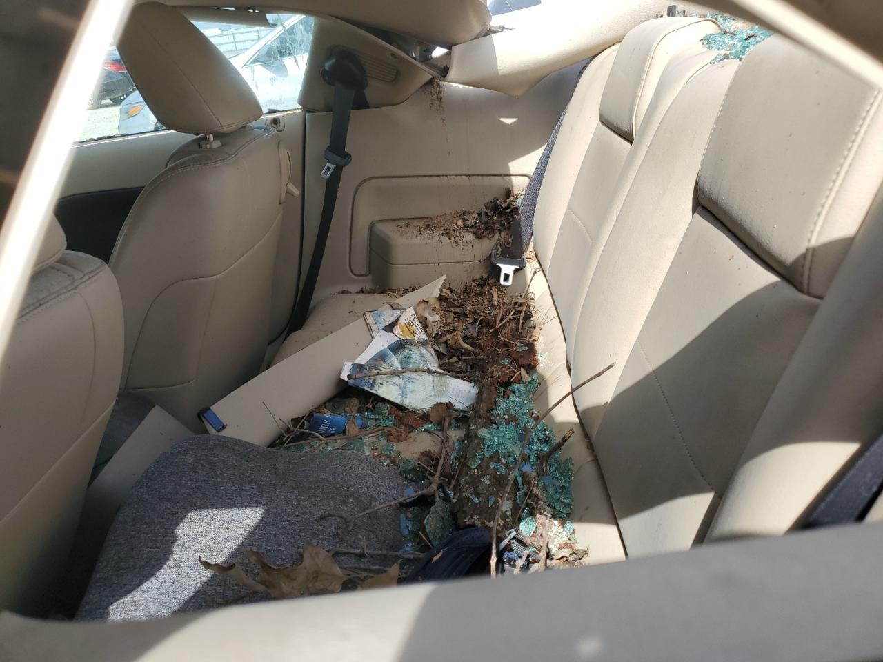 2007 Ford Mustang VIN: 1ZVFT80N875320401 Lot: 64087224