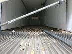 2023 Utility Reefer for Sale in Brighton, CO - Rear End