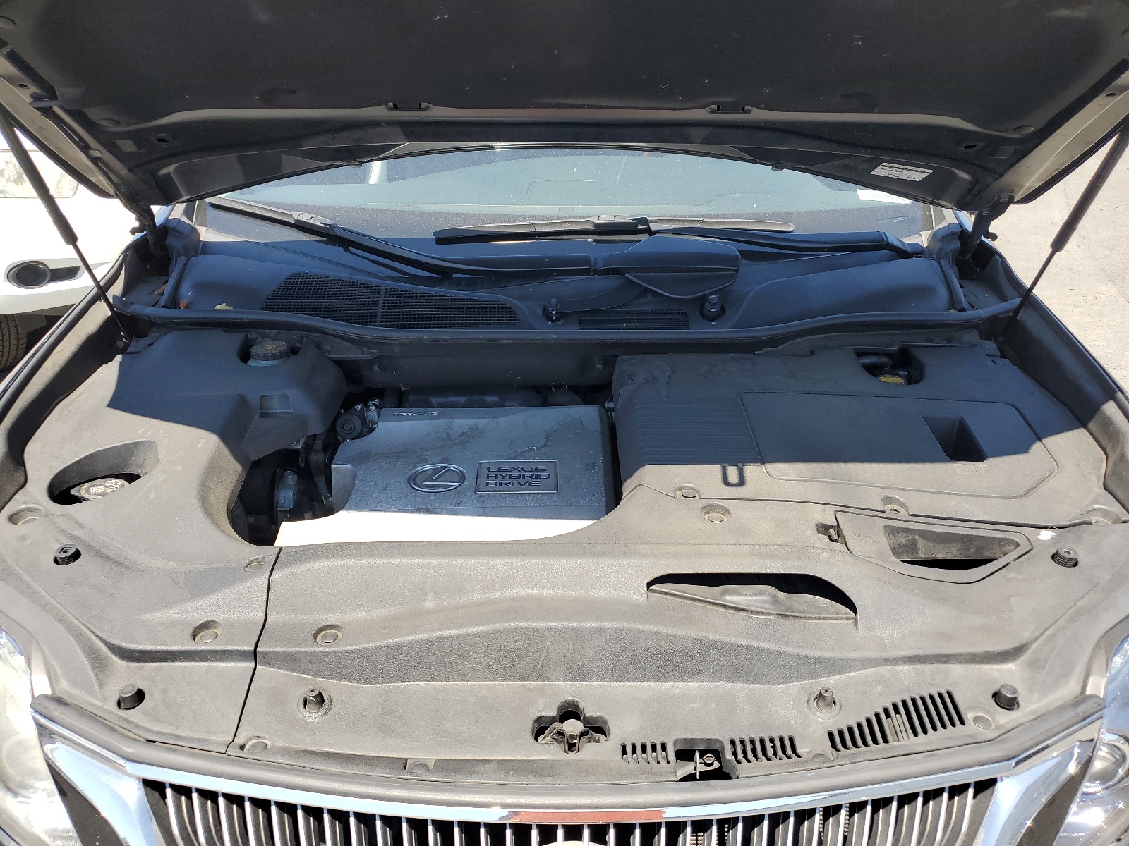 JTJBC1BA1A2017419 2010 Lexus Rx 450