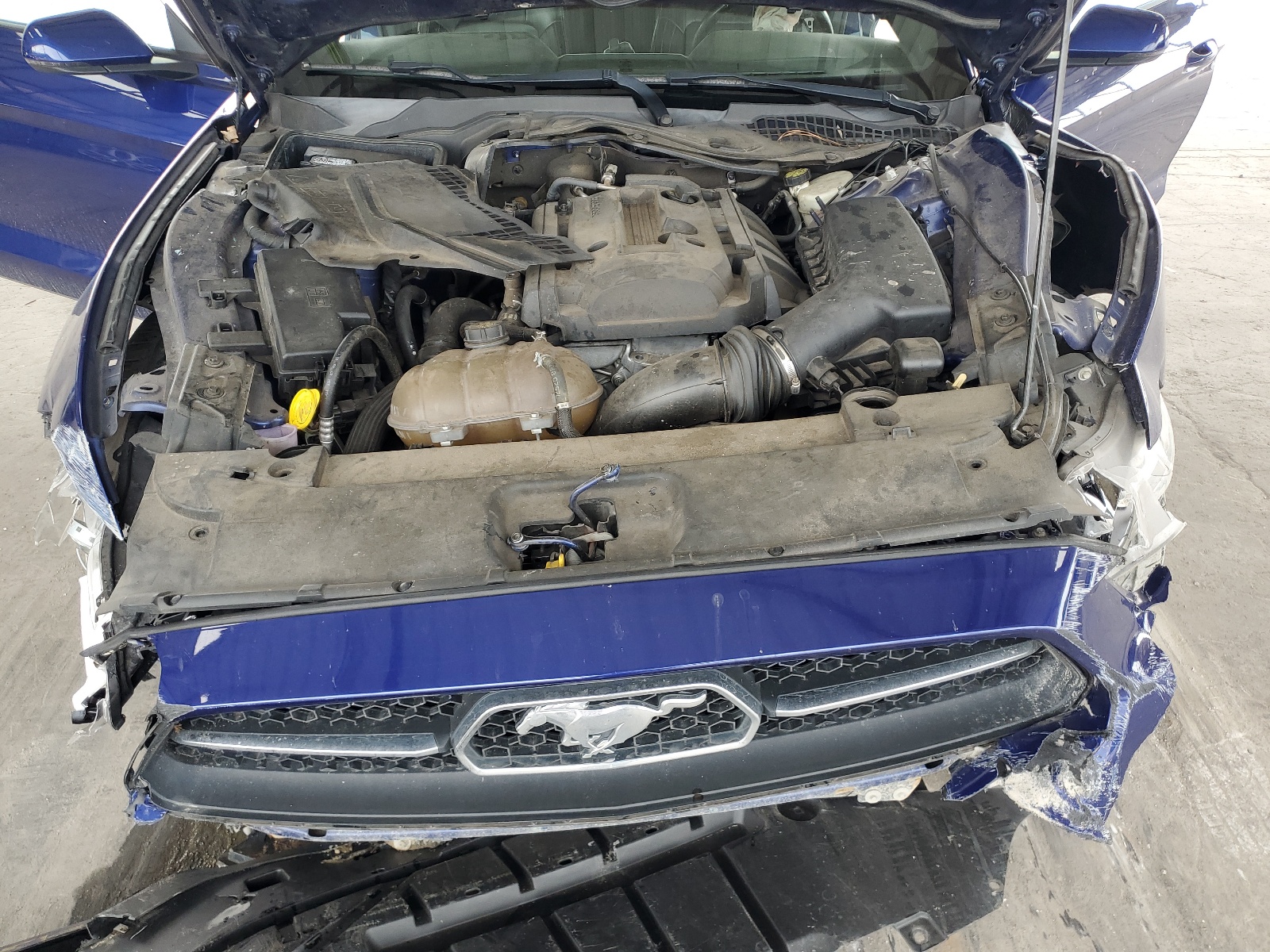 1FA6P8TH3F5353629 2015 Ford Mustang