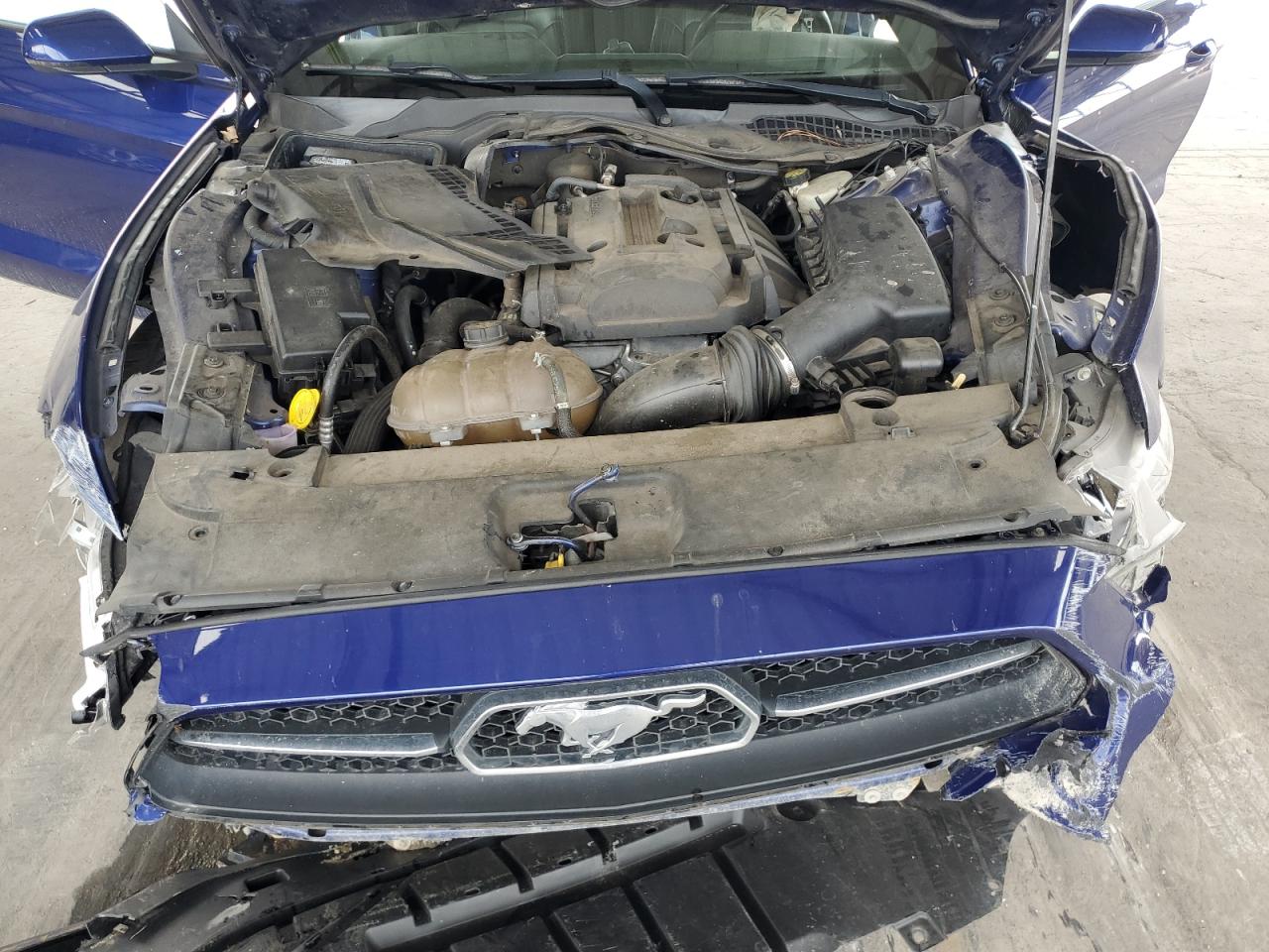 2015 Ford Mustang VIN: 1FA6P8TH3F5353629 Lot: 64962324