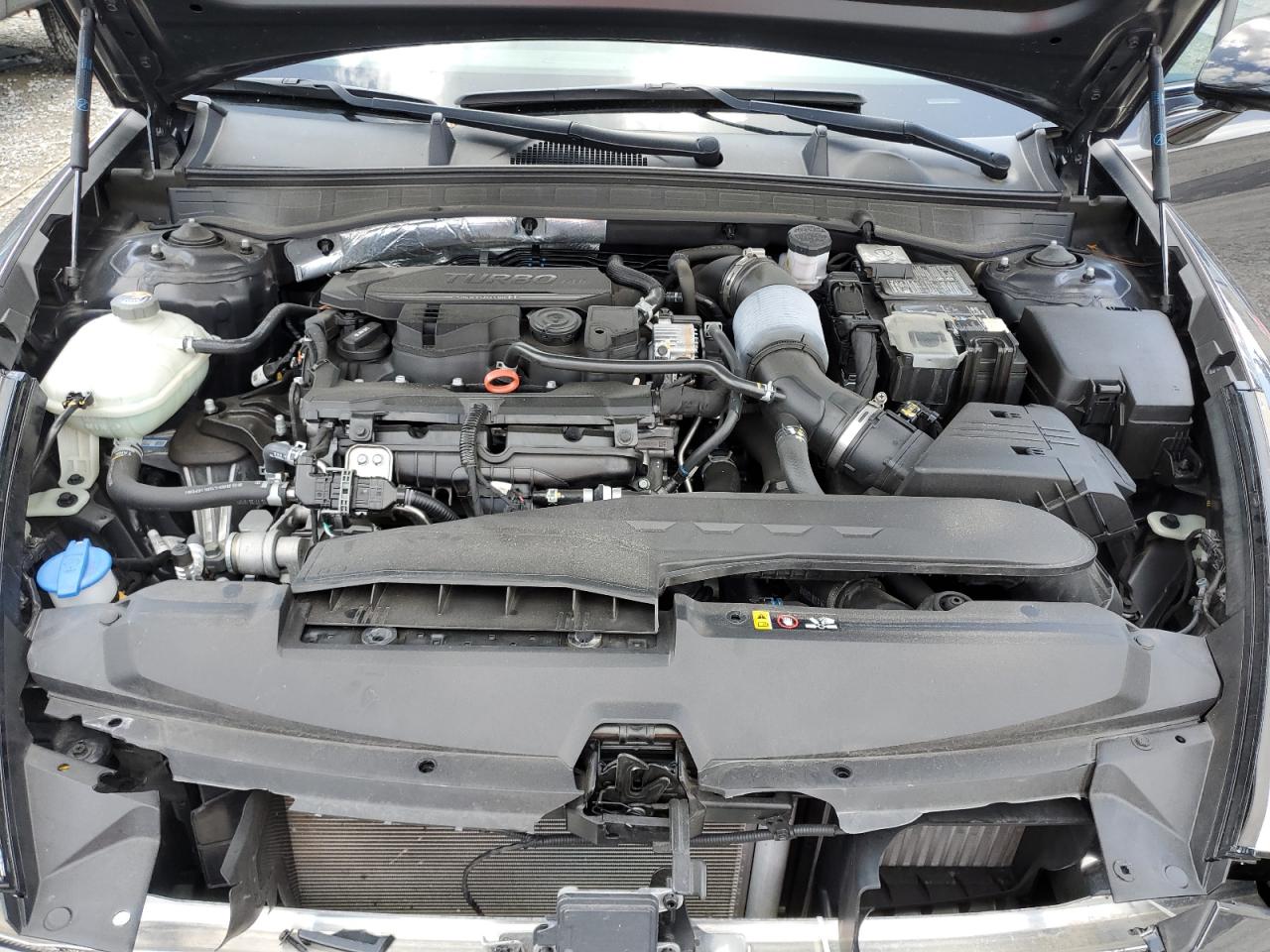 2020 Hyundai Sonata Sel Plus VIN: 5NPEJ4J23LH042941 Lot: 64460644