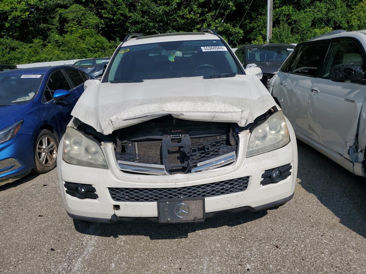 2007 Mercedes-Benz Gl 450 4Matic VIN: 4JGBF71E37A191004 Lot: 55368944