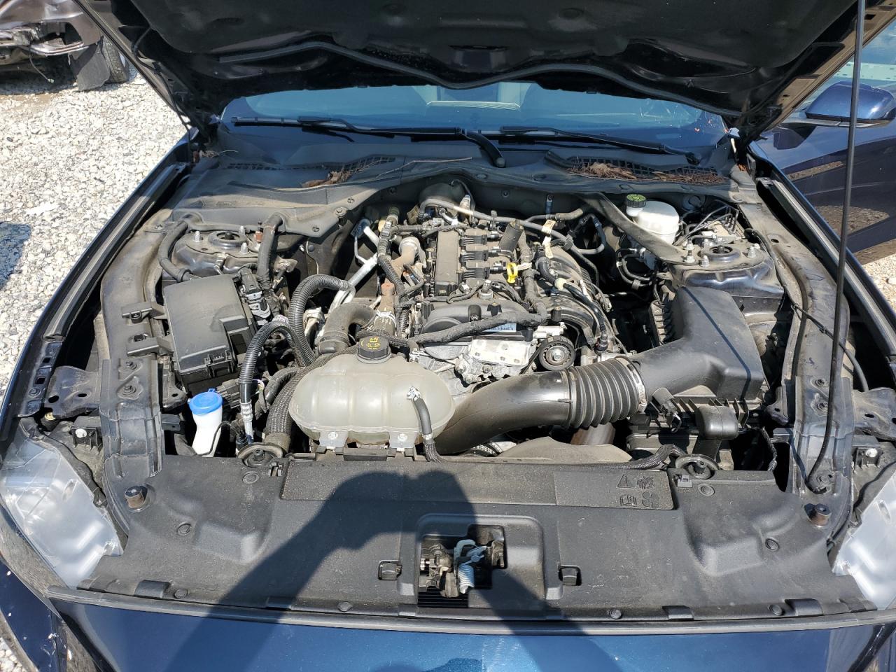 2021 Ford Mustang VIN: 1FATP8UH9M5143163 Lot: 63672494