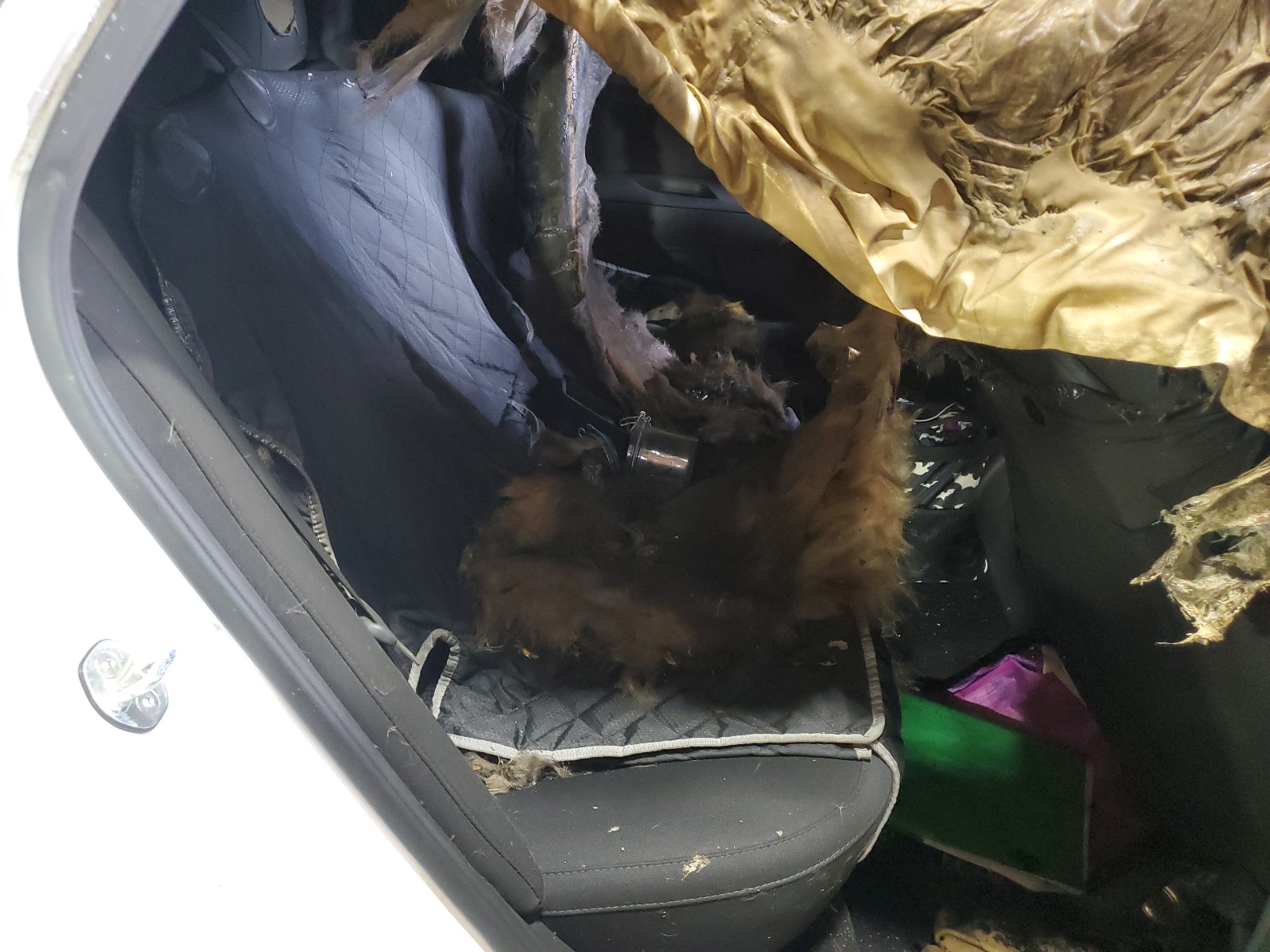 5XXGT4L3XLG393737 2020 Kia Optima Lx