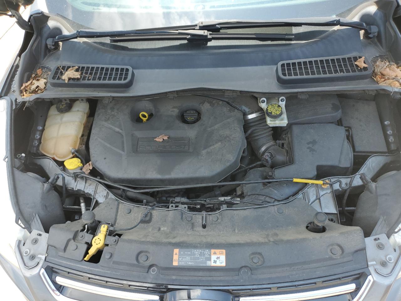 2014 Ford Escape Titanium VIN: 1FMCU0J97EUB05161 Lot: 61568434