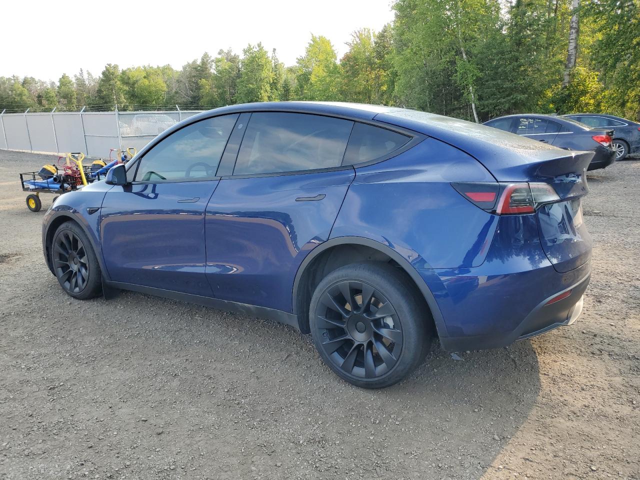 2021 Tesla Model Y VIN: 5YJYGDEE7MF302791 Lot: 63614654