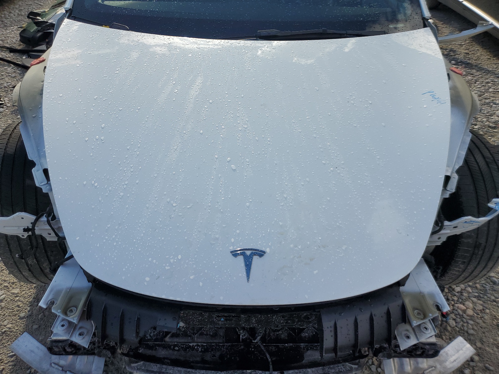 5YJ3E1EA9PF419899 2023 Tesla Model 3