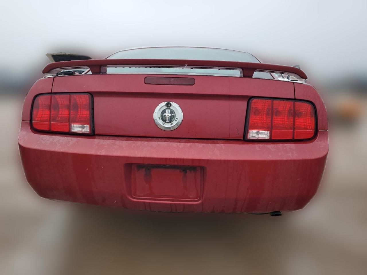 2006 Ford Mustang VIN: 1ZVFT80N965192197 Lot: 61902994