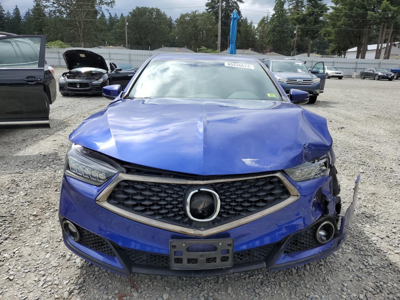 2019 Acura Tlx Technology VIN: 19UUB1F64KA004676 Lot: 65256674