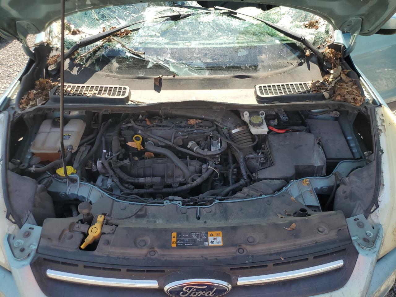 2013 Ford Escape Se VIN: 1FMCU0GX5DUD64705 Lot: 65362964