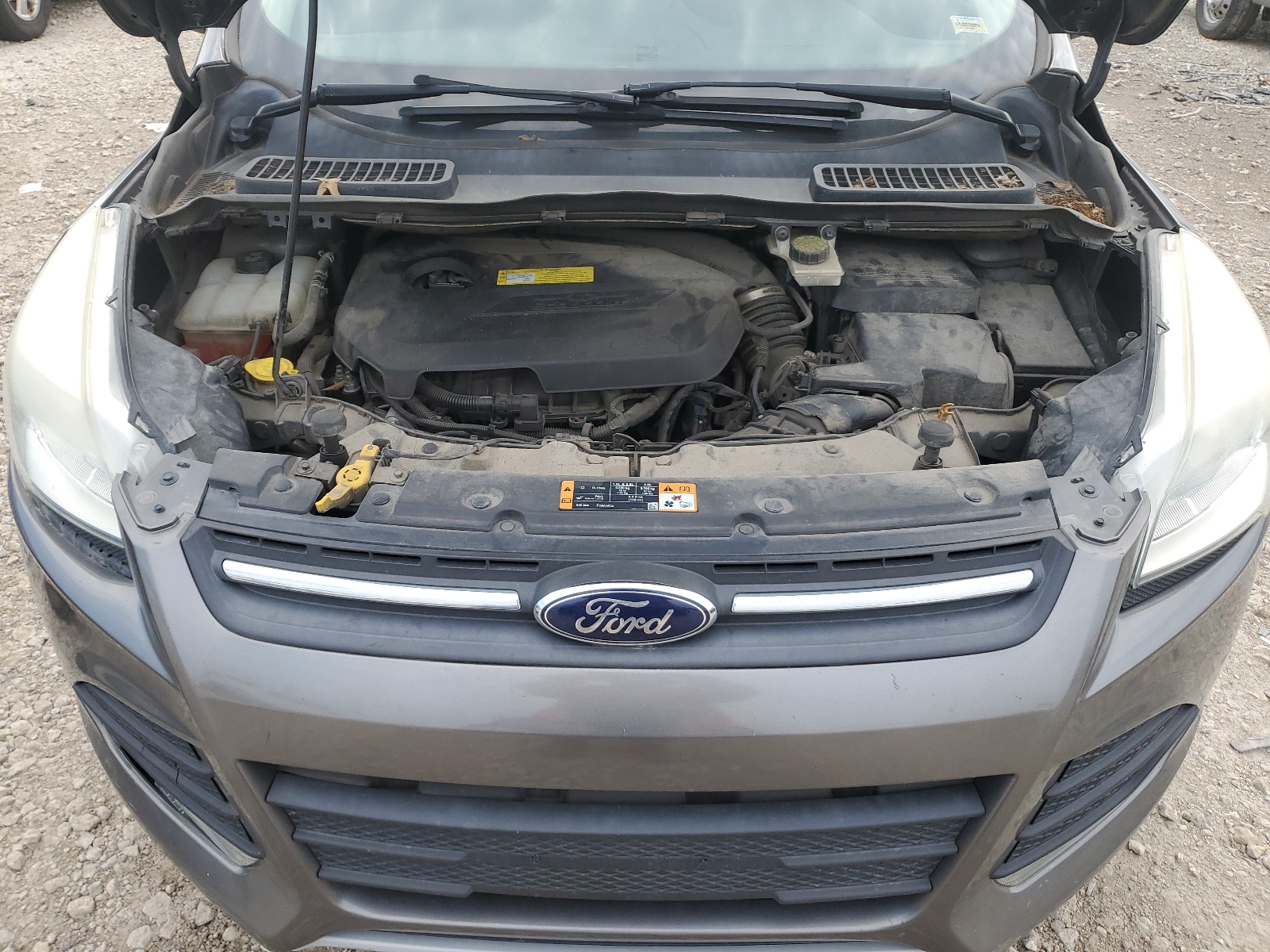 1FMCU0GX2EUA52519 2014 Ford Escape Se