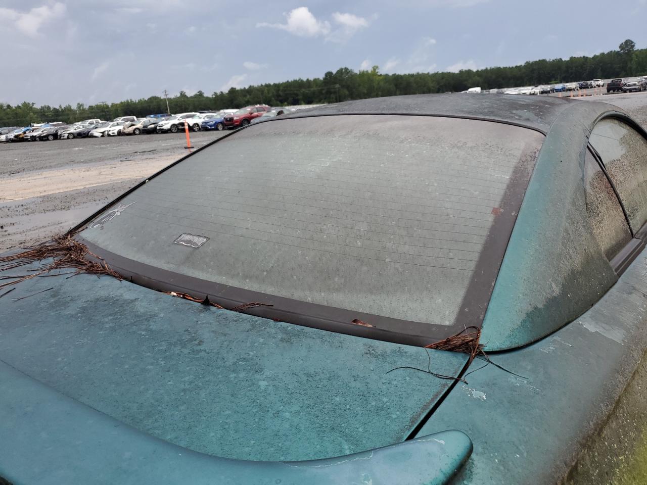 1996 Ford Mustang VIN: 1FALP4041TF101915 Lot: 61760994