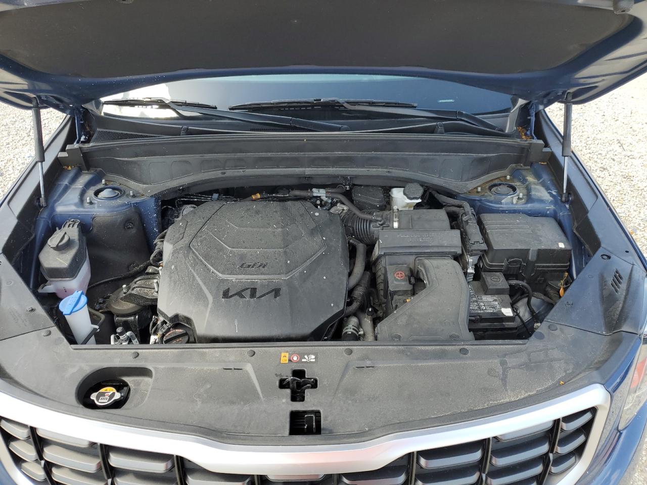 2023 Kia Telluride S VIN: 5XYP6DGC6PG345462 Lot: 61540364